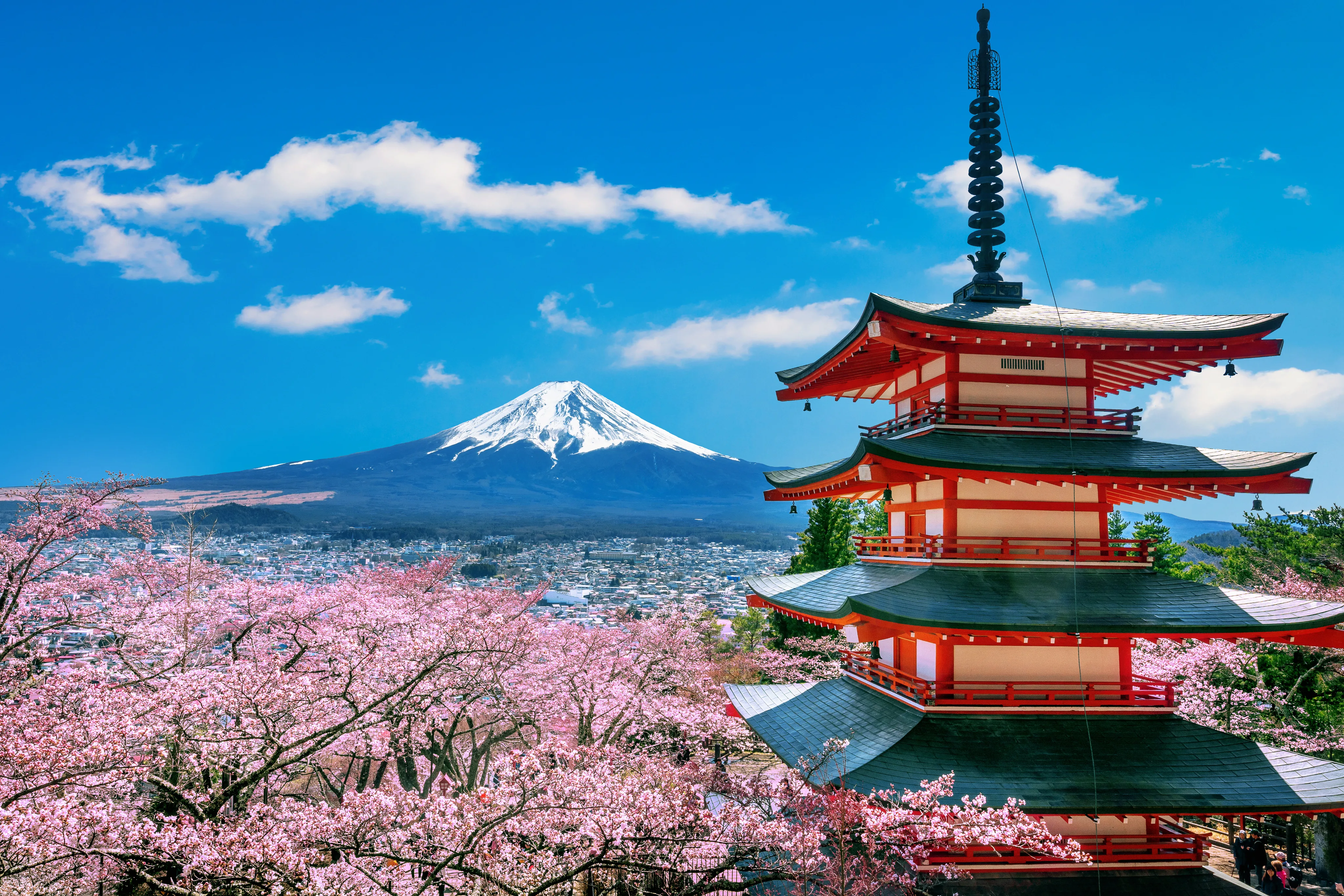 Mt Fuji pagoda